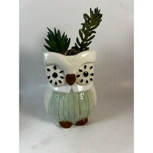 Ceramic Baby Owl Planter Faux Succulent Room Decor 5”